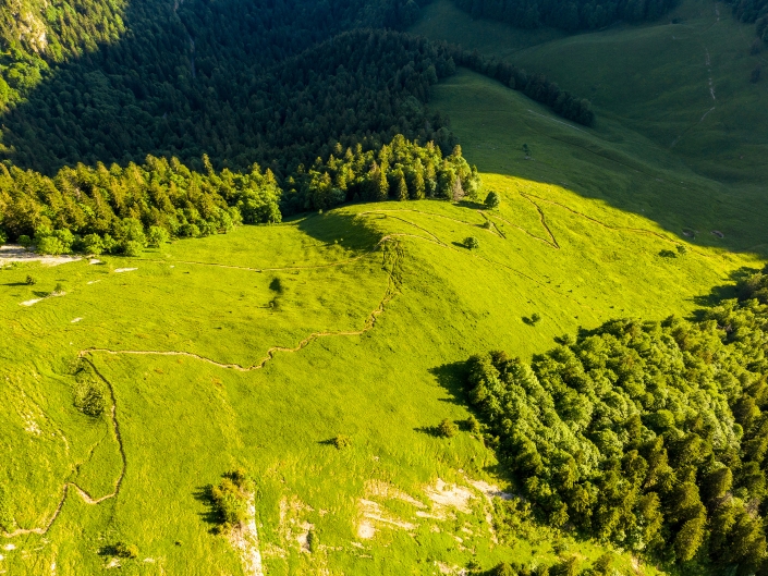 Petit Som, Chartreuse, Monastère, Savoie, Montagne, Mountain, Alpes, Alps