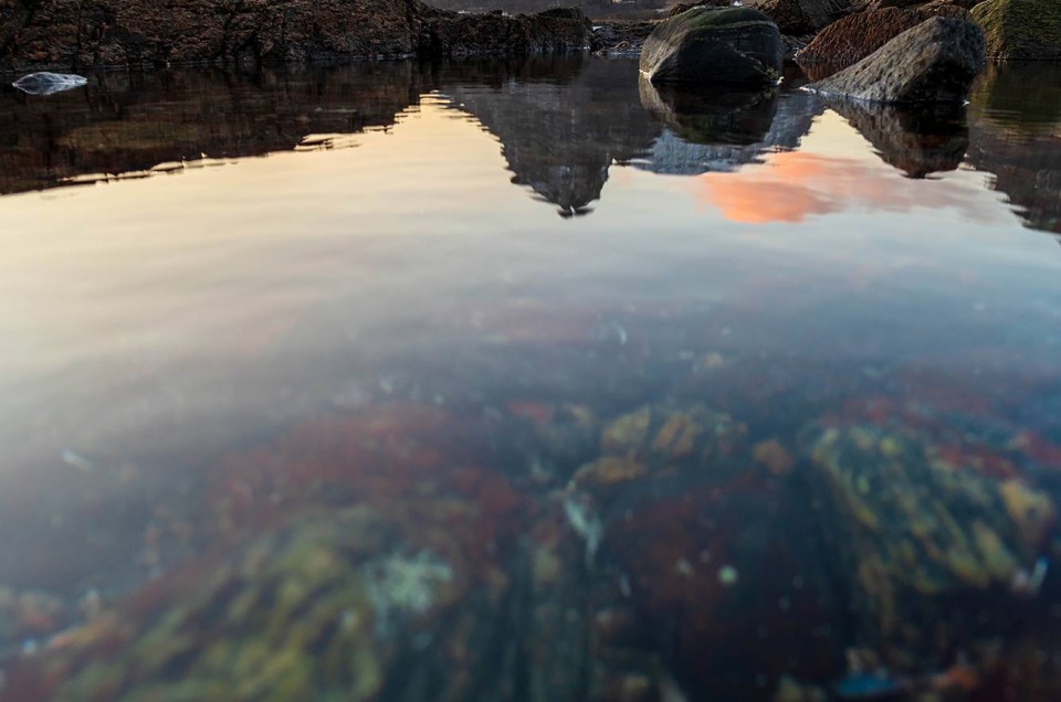 Côte de l'ile d'Engeløya au nord de la Norvège