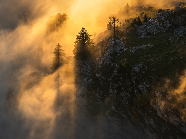 Brume au coucher de soleil sur la forêt des Bauges