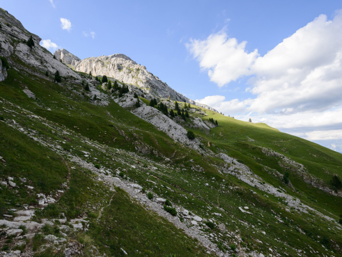 Chemin entre le col de la Colombière et la grotte de montarquis