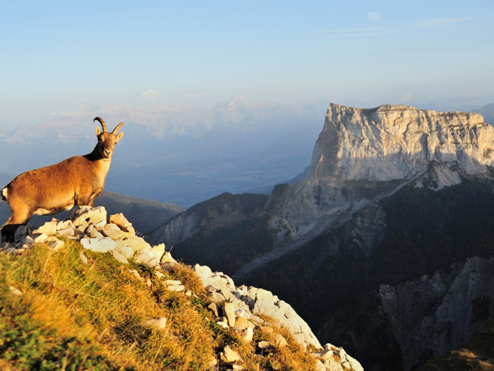 Grand Veymont (2341 m)