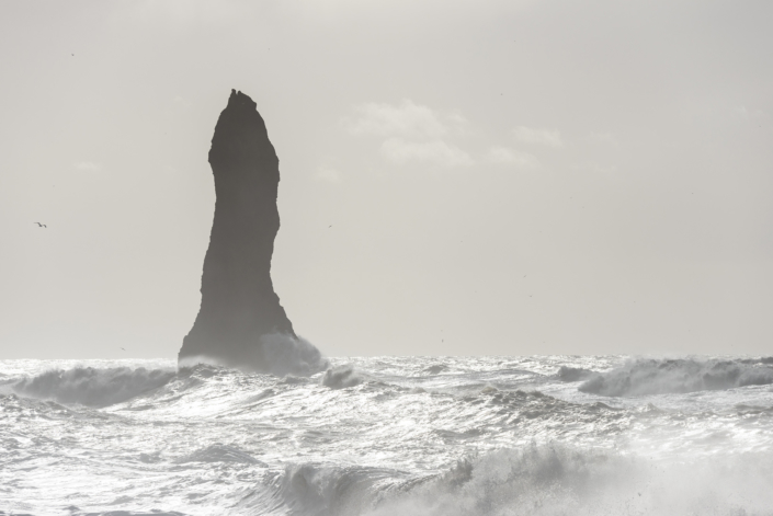 Reynisfjara en Islande