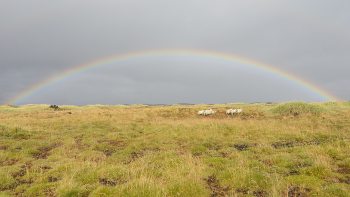 Arc en ciel islandais